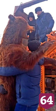 В Хвалынске дали имя музейному медведю
