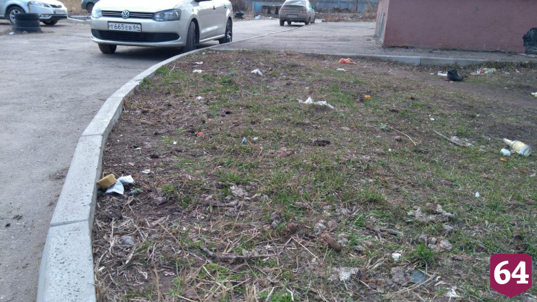 В Саратове любитель бродячих собак кинулся на участника субботника с топором