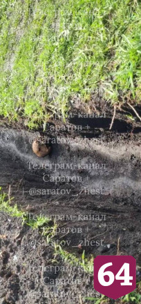 В горпарке Саратова раскопали человеческий череп