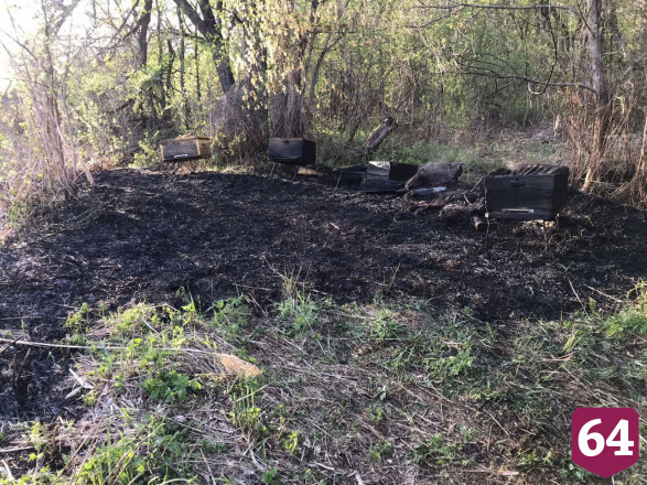 Под Саратовом пасечник погиб при возгорании ульев