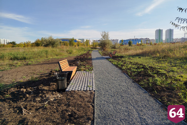В экопарке Саратова высадят деревья и проведут субботник