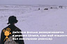 Жители рассказали об эвакуации в Саратовскую область режиссера «Интердевочки»