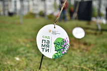В Саратовской области стартовала осенняя высадка лесов