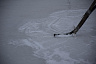 Саратовский силач оценил качество льда на городских катках 