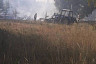 В Саратове огонь от травы перекинулся на лес