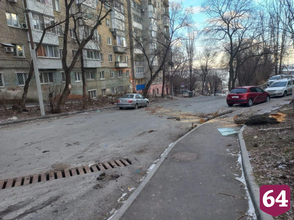В Саратове дерево рухнуло на припаркованный внедорожник