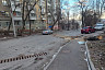 В Саратове дерево рухнуло на припаркованный внедорожник