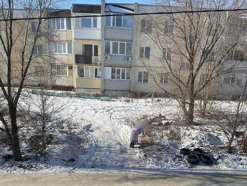 Саратовцев попросили не кормить бездомных собак возле чужих подъездов