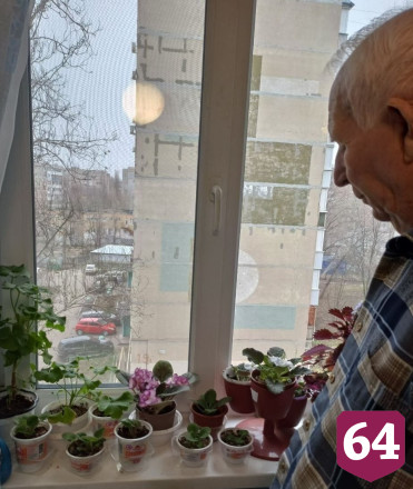 Саратовский пенсионер создает дома рай для птиц и фиалок