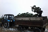 В Саратовской области к новогодним праздникам срубят 17 тысяч елок