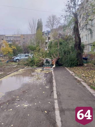В Энгельсе деревья ветром повалило на провода