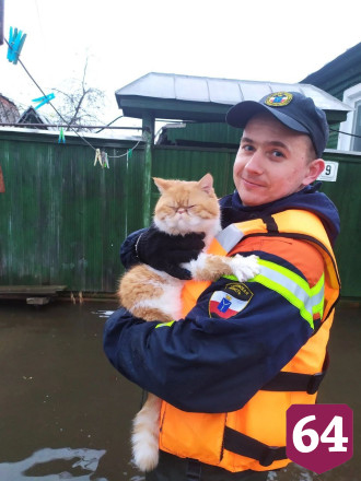 В Петровске из зоны подтопления эвакуируют людей и котиков