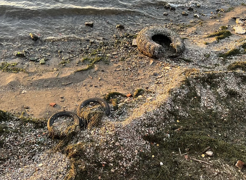Саратовцы попросили очистить Волгу от мусора и водорослей