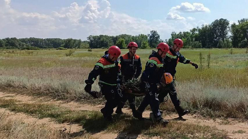Саратовские спасатели сняли с дерева парашютиста