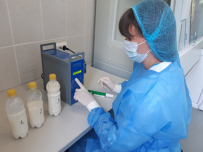 Саратовские эксперты проверяют качество продуктов в детских садах