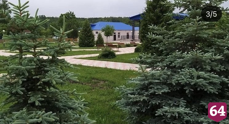 В лагеря Саратовской области прибыли первые отдыхающие