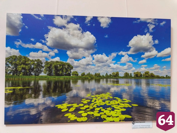 Саратовский фотограф запечатлел «диалог» человека с Волгой