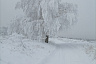 Саратовцы делятся в сети фотографиями активного зимнего отдыха
