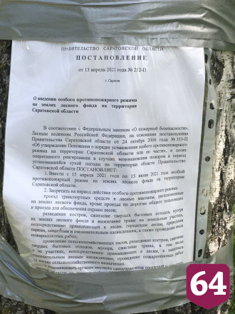 Саратовские лесничие потушили пришедший с федеральной трассы пожар