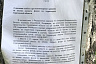 Саратовские лесничие потушили пришедший с федеральной трассы пожар