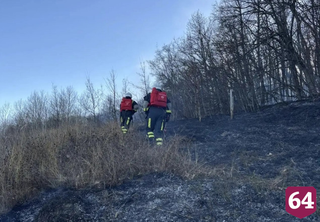 У села Лох стабилизировали лесопожарную обстановку 