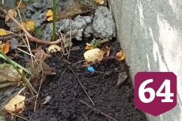 В Саратове молодые люди сделали 66 тайников с синтетикой