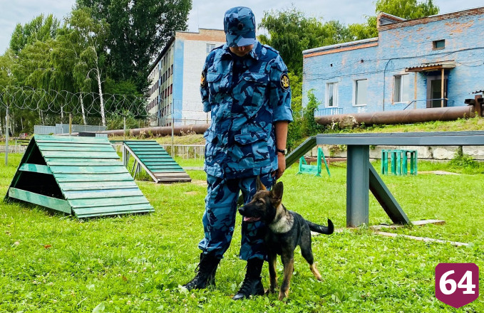 На службу в Самарскую область отправили 8 щенков из Саратова 