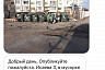 Стая бродячих собак оккупировала спальный район Саратова