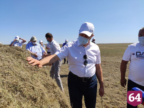 Саратовские фермеры пожаловались губернатору на сильную засуху