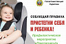 В Саратове будут ловить непристегнутых водителей