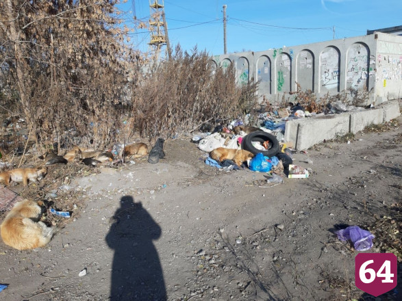 Саратовцы устроили у храма стихийную мусорку