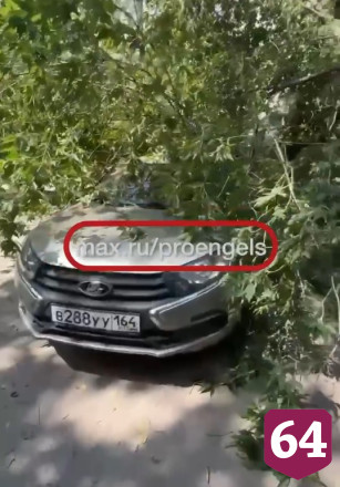 В Энгельсе деревья повалило на провода и автомобили