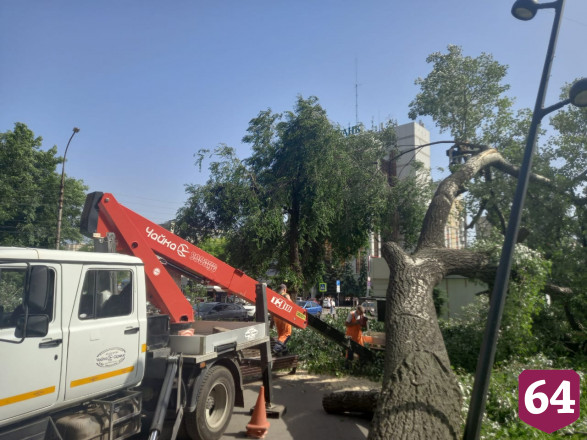 В Саратове из-за сильного ветра деревья упали на 3 автомобиля 