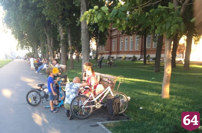 В центре Саратова дети на глазах у родителей разбили горшки с цветами 