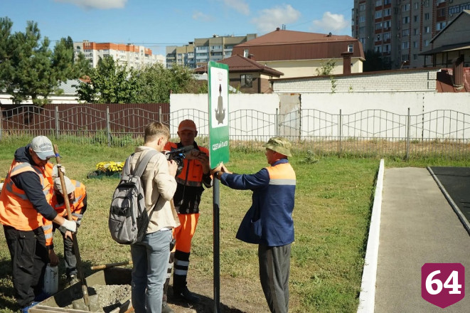 Саратовских водителей призвали уступить дорогу курице с цыплятами