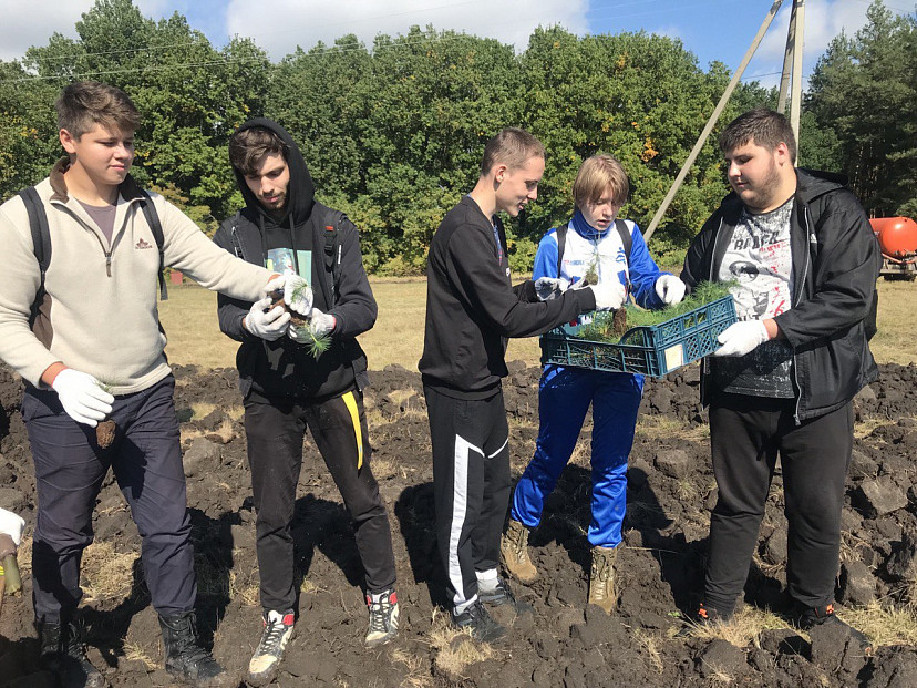 Под Саратовом высадили 2000 сеянцев сосны