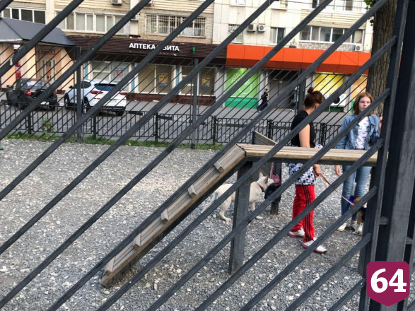 Жители Саратова снова вышли на прогулку без масок