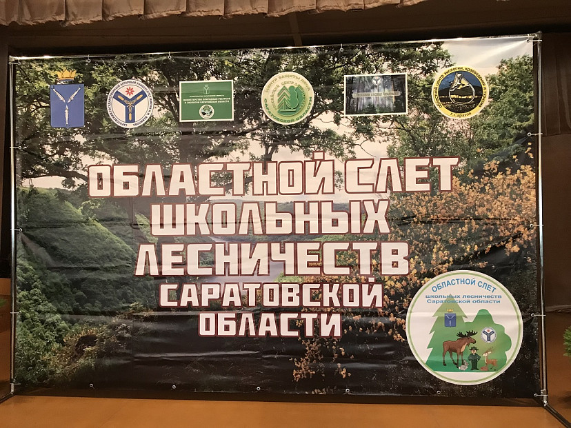 Саратовским ученым помогают следить за кабанами чесальные столбы 