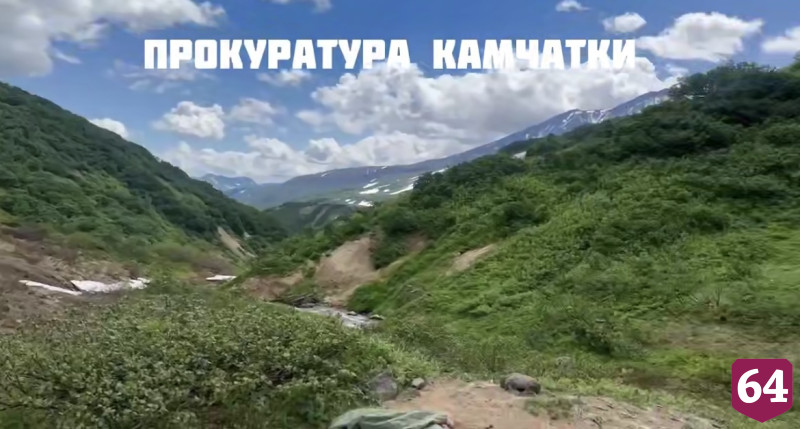 На туристку из Саратова на Камчатке напал медведь