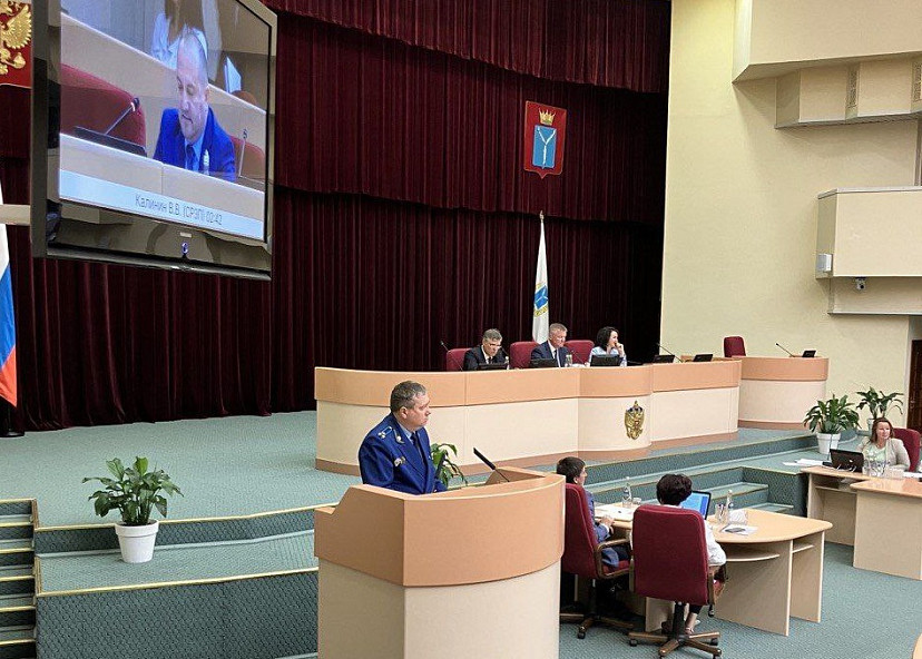 В Саратовской области нашли нарушения при отлове бездомных собак 