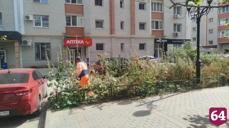 Новые остановки будут дополнительно освещать Энгельс 