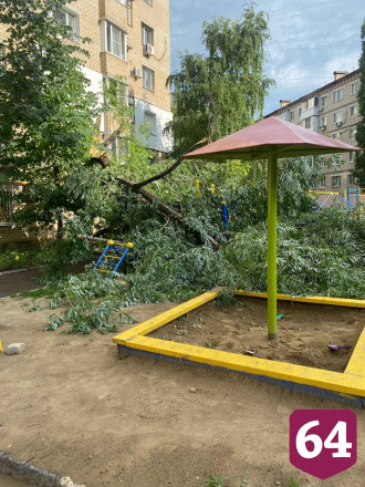 В Саратове деревья упали на автомобили и детскую площадку