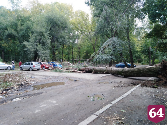 Огромный ствол дерева рухнул на дорогу рядом с машинами