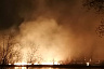 В 4 районах Саратовской области горели леса