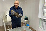 В Саратовской области спасли раненого коршуна 
