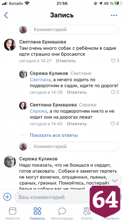 Бродячие псы напали на жительницу Саратова около подъезда