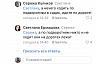 Бродячие псы напали на жительницу Саратова около подъезда