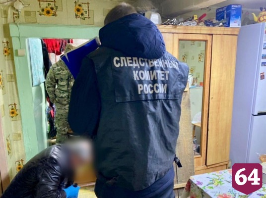 Саратовец спрятал труп тещи в погреб и получил 8 лет колонии 