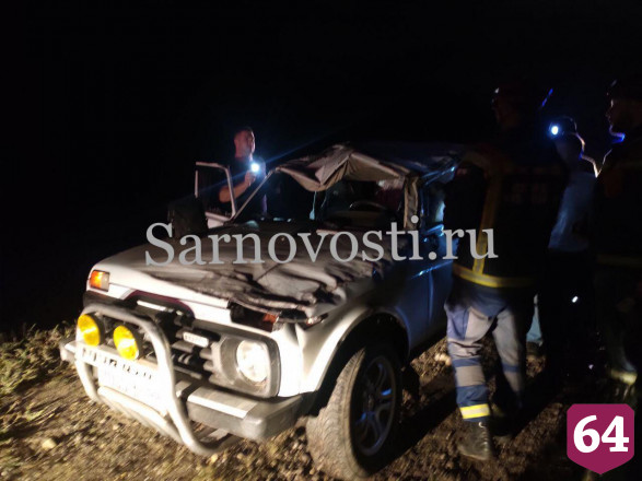 Под Саратовом внедорожник сбил кабана и вылетел в кювет