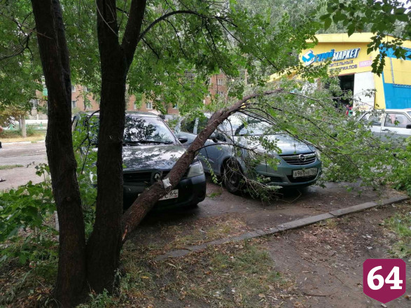 Поваленные сильным ветром деревья раздавили несколько автомобилей